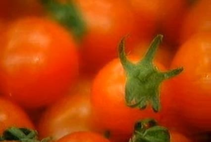 토마토 컬로리, 효능보니 건강에 좋은 10대 식품? 얼마나 좋길래