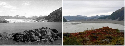 3. 캐롤 빙하(알래스카). 1906년 8월 - 2003년 9월
