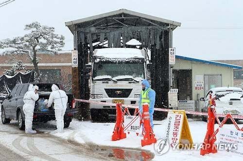 '방역 철저' 고창 구제역 발생 농가 (고창=연합뉴스) 김진방 기자 = 14일 오전 전북 고창군 무장면 구제역 발생 돼지 농가에서 방역요원들이 출입을 통제하고 방역을 하고 있다. 전북에서는 김제에 이어 고창에 두번째 구제역이 발생했다. 2016.1.14 chinakim@yna.co.kr