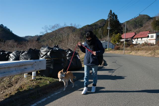 방사능 오염이 심해 사람이 살지 못하는 후쿠시마 이다테를 찾은 한 자원봉사자가 남겨진 반려동물을 산책시키고 있다. 옆으로 방사성 폐기물이 든 검은 자루들이 보인다. 피에르 엠마뉴엘 델레트헤 프리랜서 기자 pe.deletree@gmail.com