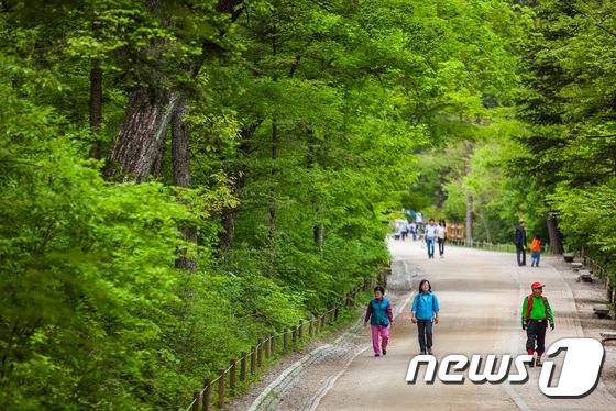 국립수목원. 박동식 작가 © News1