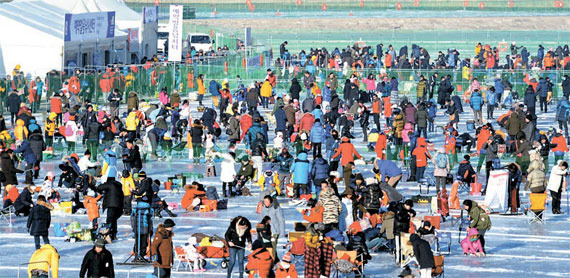 관광객들이 강원도 화천군에서 지난 1월 열린 ‘산천어 축제’에서 낚시를 즐기고 있다. [사진 화천군]