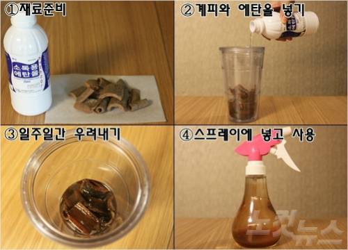 계피살균제 만드는 방법 (사진=김송이 기자)