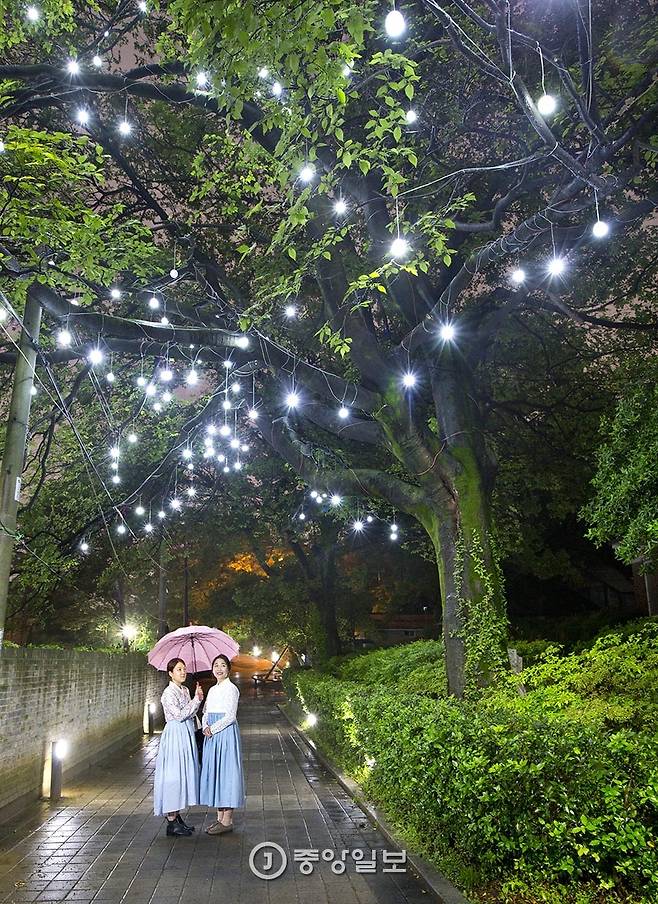 양림동 청춘달빛투어.