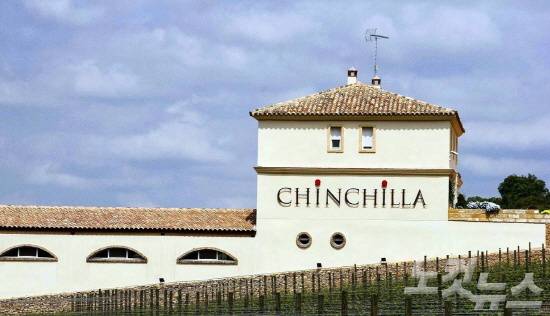 여유가 있다면 론다 외곽 와이너리 투어로 향긋한 와인을 맛보자. (사진=투리스타 제공)