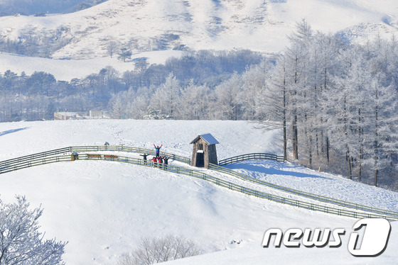 특별상 평창동계올림픽부문  '목장의 겨울' © News1