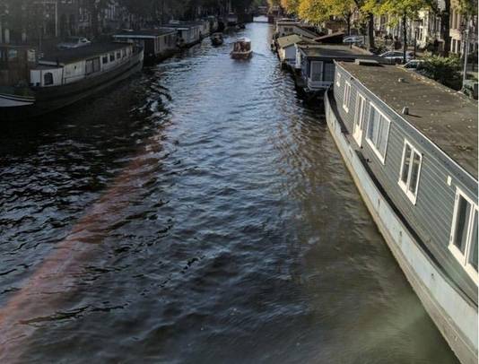 구글 픽셀폰으로 찍은 사진. 오른쪽 하단에 빛이 반사돼 생긴 원형 띠 모양이 보인다. / BBC테크 캡쳐