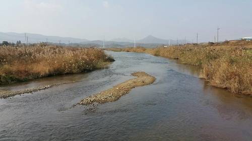 (천안=연합뉴스) 김용윤 기자 = 천안 풍세면 봉강천에서 채취된 철세 분변에서 고병원성 AI가 확진됐다. 2016.11.11. yykim@yna.co.kr