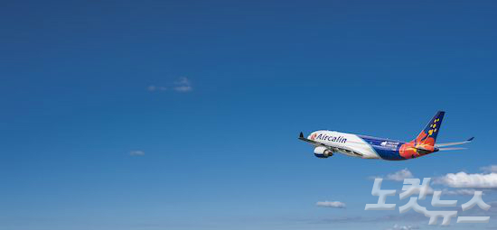 뉴칼레도니아 국적항공사 에어칼린의 항공기는 뉴칼레도니아의 상징을 다 담고 있다. (사진=에어칼린 제공)