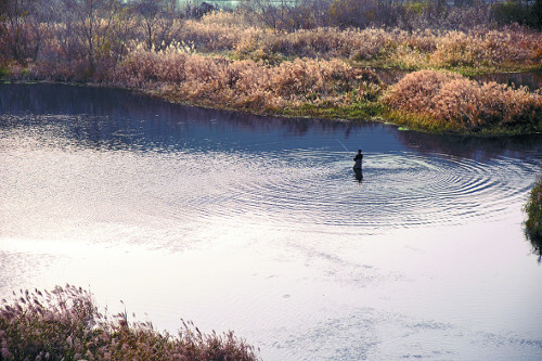 용담댐 바로 아래 금강에서 강태공이 낚시를 즐기고 있다.
