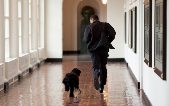2009년 3월 오바마가 오랜만에 만난 반려견 ‘보’와 함께 백악관 복도를 달리고 있다.   백악관