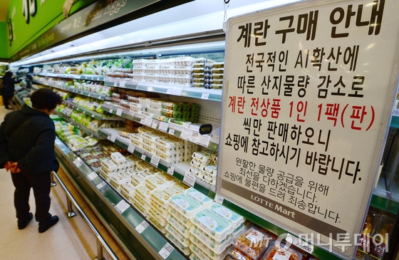 서울의 한 대형마트에서 고객이 계란을 구매하고 있다. 계란 사용량이 가장 많은 설 명절을 앞두고 AI로 인한 계란값 폭등과 수급 불균형으로 계란 대란이 심각해지고 있다. 사진=뉴스1