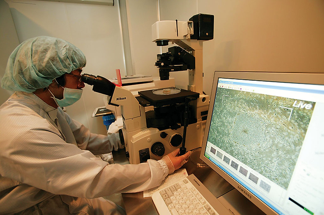 차병원그룹 산하 차바이오텍 연구원이 무균실에서 배아줄기세포를 연구하고 있다. © 차병원