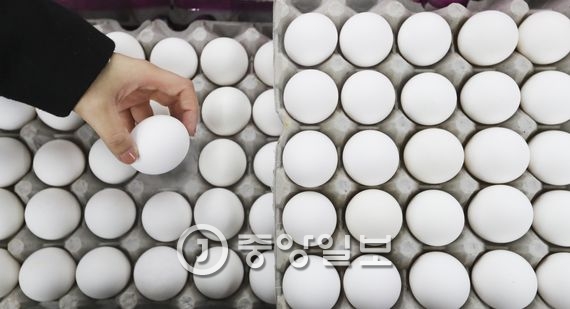 지난 21일부터 시중판매가 시작된 서울 고척동 드림홈마트에 진열된 미국산 계란. 김경록 기자