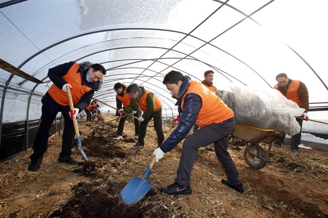 한화그룹의 신임 임원들이 24일 충남 청양군 청남면 아산리 마을에서 비닐 하우스 내 퇴비 살포 작업을 벌이고 있다. 한화그룹 제공