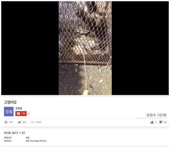L씨는 길고양이를 학대하고 이를 동영상으로 촬영해 온라인에 올렸다 검거됐다. 유튜브 캡처