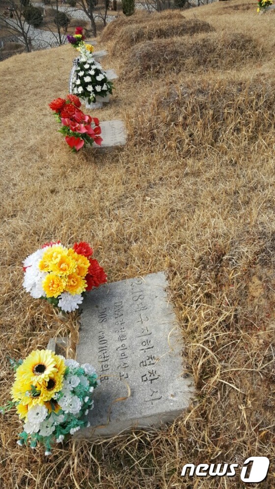 14년째 신원이 확인되지 않은 2.18 대구지하철 화재 참사 희생자 6명의 묘지에 꽃다발이 놓여있다./사진제공=2.18대구안전문화재단© News1