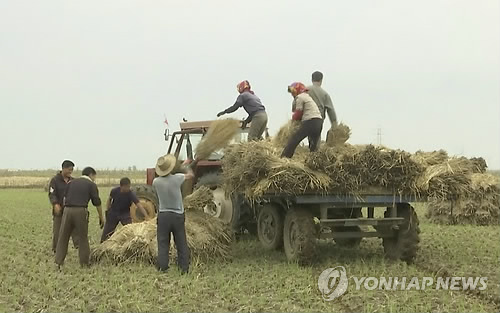 2016년 10월 북한 황해남도에서 농부들이 추수를 하는 모습.