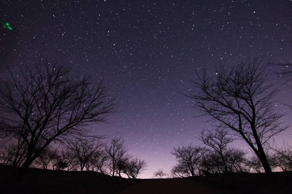 사진 : 정한웅 씨 제공 (인스타 @j.h.woong)