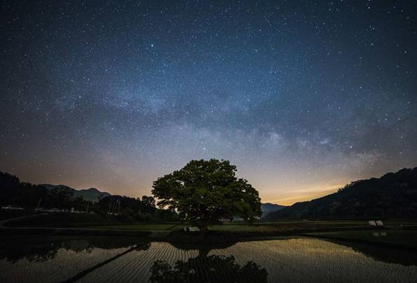 사진 : 유광현 씨 제공 (블로그 http://blog.naver.com/twimnets)