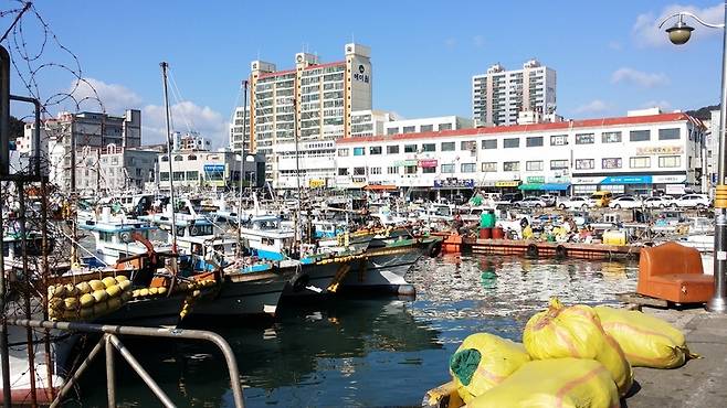 지난 8일 경남 통영시 정량동의 동호항에 정박한 어선들. 김영동 기자