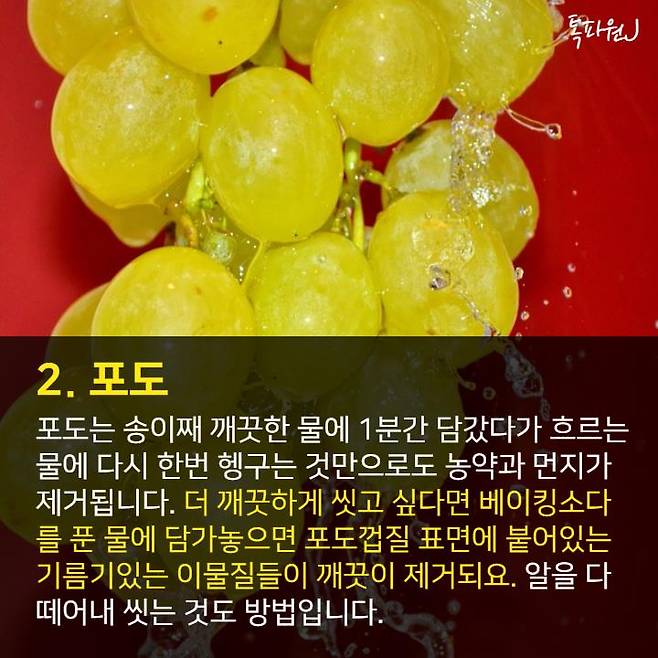 과일별 잔류농약 걱정없이 씻는 법