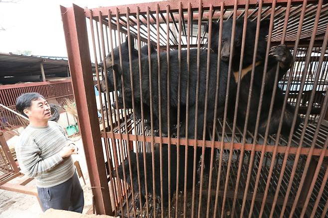 곰 사육 농민이 농사가 처한 어려움을 설명하고 있다. [중앙포토]