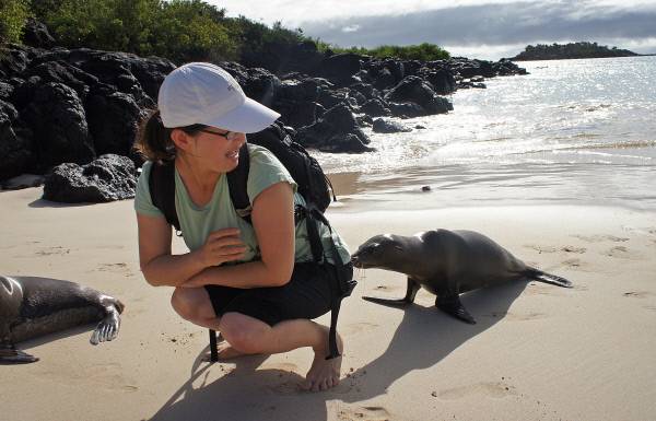 엄마를 찾아나선 바다사자 새끼가 내 엉덩이에 코를 대고 냄새를 맡고 있다.
