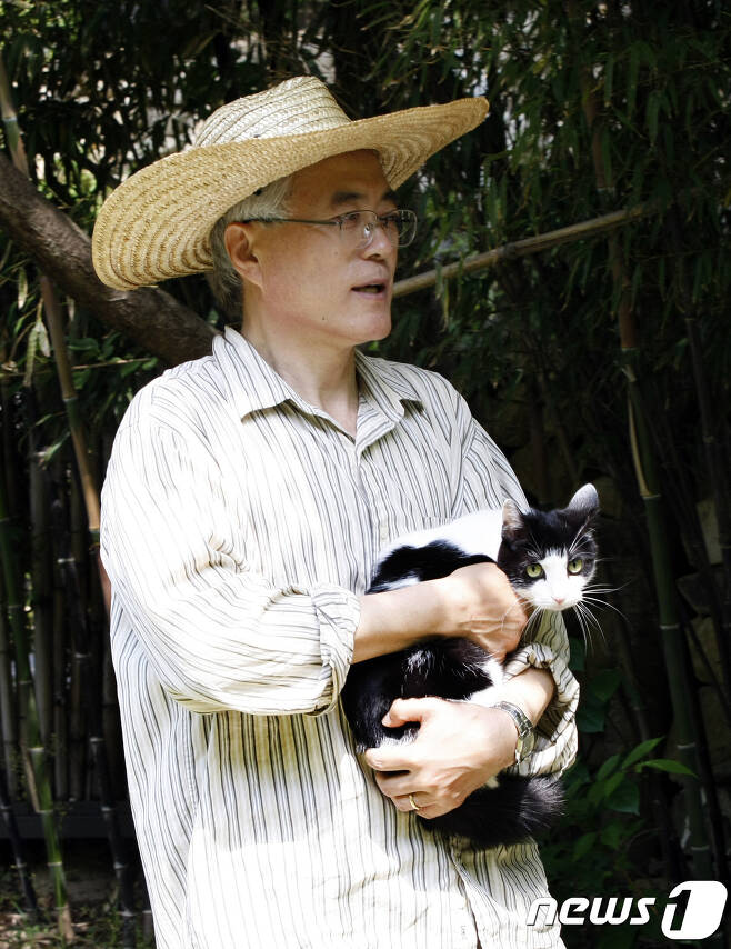 문재인 대통령이 양산 자택에서 기르던 반려묘 ‘찡찡이’가 14일 청와대로 들어오면서 한국 최초의 ‘퍼스트 캣’(First Cat)이 됐다. (사진 청와대 제공) 2017.5.14/뉴스1 © News1