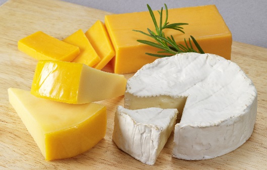 여러 종류의 치즈