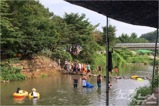 박성미 의원이 심폐소생술을 시행한 광양 성불계곡 주변에 피서객들이 모여 있다(사진=박성미 의원)
