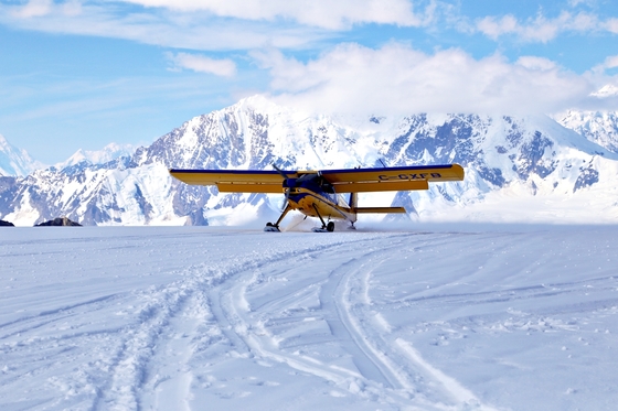 캐나다 유콘주는 극지방을 제외하고 가장 큰 빙하지대를 품고 있다. 클루아니 국립공원의 경비행기 투어를 하면 빙하기를 방불케하는 풍경 한가운데 착륙할 수 있다.