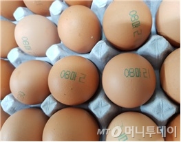 피프로닐이 검출된 마리농장의 계란.  계란껍질에 '08마리'가 표시돼 있다./사진제공=식품의약품안전처