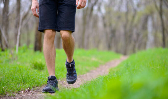 걷기만 제대로 해도 심장 건강을 개선하고, 면역력을 강화하며 살을 뺄 수도 있다. [사진=클립아트코리아]
