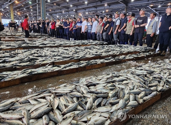 고등어 경매가 벌어지는 부산공동어시장 풍경. 연합뉴스 자료사진