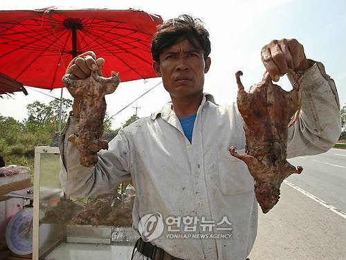 THAILAND FOOD ROASTED RAT