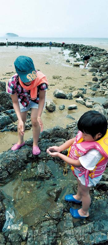 독살엔 물고기 가득..초짜어부 내 아이는 추억을 낚고..