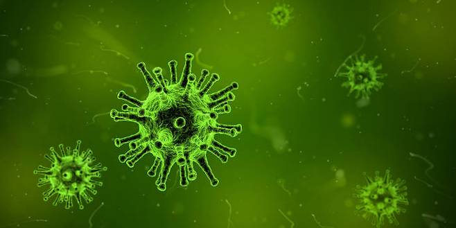 그림 1. 생물과 무생물의 경계에 서 있는 바이러스는 인간의 최대 숙적이라 해도 과언이 아닐 것이다. 출처: Pixabay