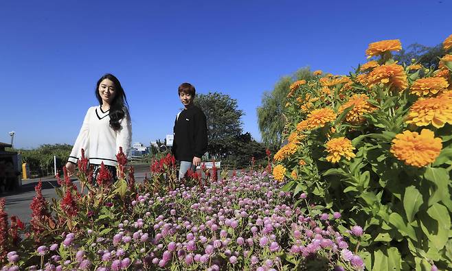 13일 서울 마포구 상암동 하늘공원을 찾은 김정연 씨(오른쪽)와 최송연씨. 김 씨는 "하늘이 청명해 마음이 맑아지는 것 같고 가슴이 뻥 뚫리는 것 같다"라고 소감을 말했다. 임현동 기자