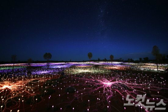 세계적인 조명 전시가인 브루스 먼로가 대자연 속에 약 50000여 개의 전구를 설치하여 아름다운 조명 아트를 만들어놓은 필드 오브 라이트. (사진=하이호주 제공)