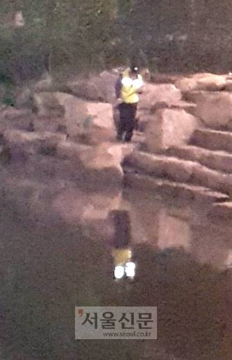 지난 19일 서울도심에 소나기가 내린 뒤 청계천에 오염된 물이 유입되면서 새벽다리~다산교 구간에 죽은 물고기들이 떠내려가고 있다.