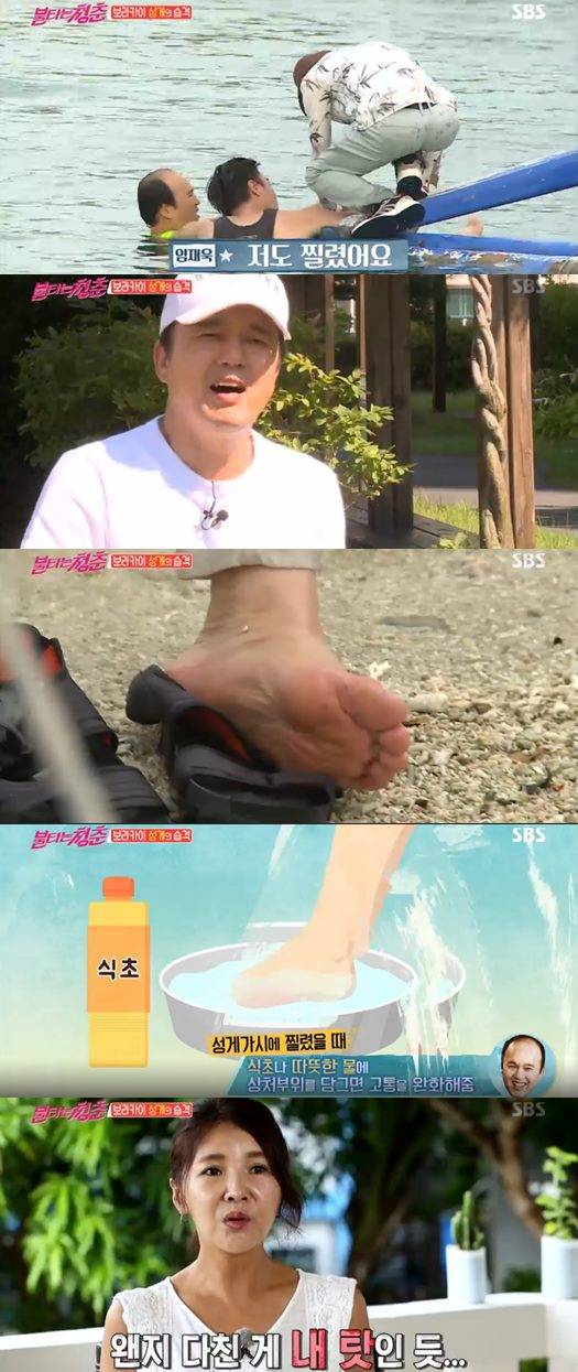 불타는 청춘 정유석 이연수 임성은 포지션 임재욱 김광규 김완선 박재홍 강수지