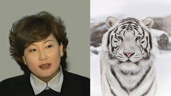 서해순은 호상이다. 그 중에서도 백호상이다. [사진 백재권]