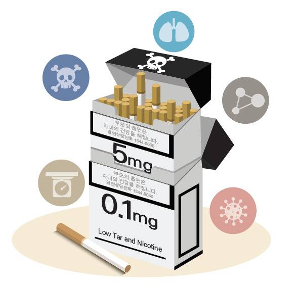 타르·니코틴 함량이 적은 저함량 담배가 일반 담배보다 건강에 더 좋은 건 아니다. [자료 한국건강증진개발원]
