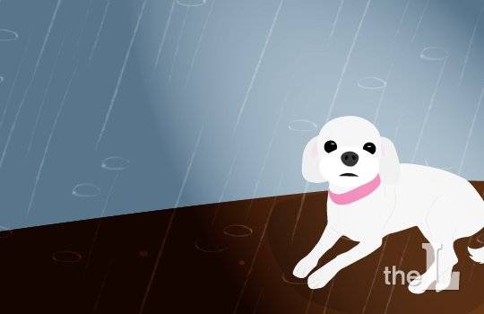 /그래픽=이지혜 디자이너