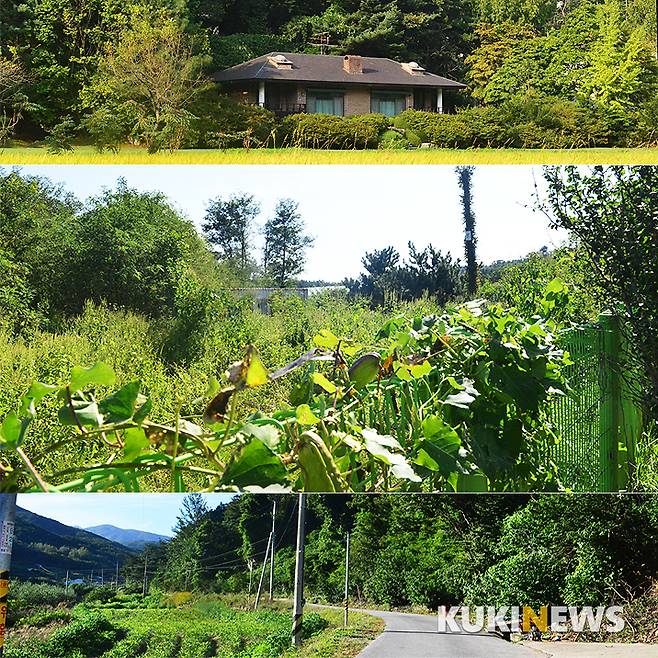 고 김재정씨의 경기 가평 설악면 소재 별장(위)과 강원 고성군 토성면 잡종지(중간), 경북 영주 단산면 임야(아래)