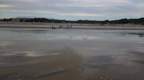 CREDIT: Photo by Souichiro Teriyaki, Kanazawa University    [미국과학진흥협회(AAAS) 제공]