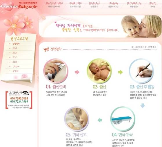 원정출산 프로그램을 운영하고 있는 한 업체의 인터넷 홈페이지 화면. [자료 성일종 의원실]