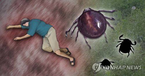 살인 진드기 이미지. [연합뉴스]