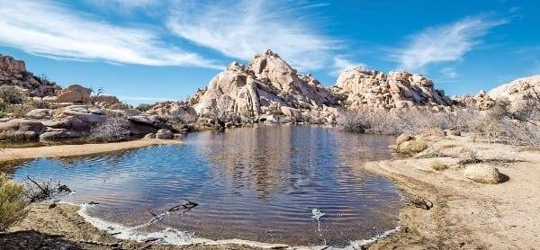 각종 사막 동·식물의 안식처 역할을 하는 바커댐 주변 작은 호수.